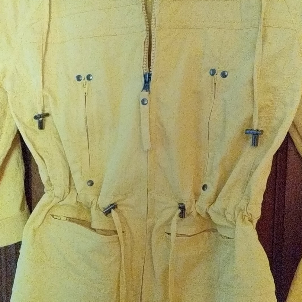 Yellow jacket - Picture 5 of 5
